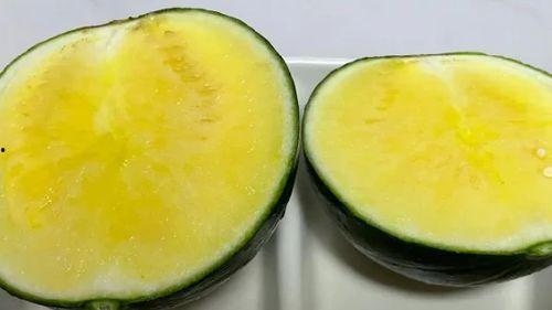 优优和安安吃瓜,娱乐圈幕后故事全解析