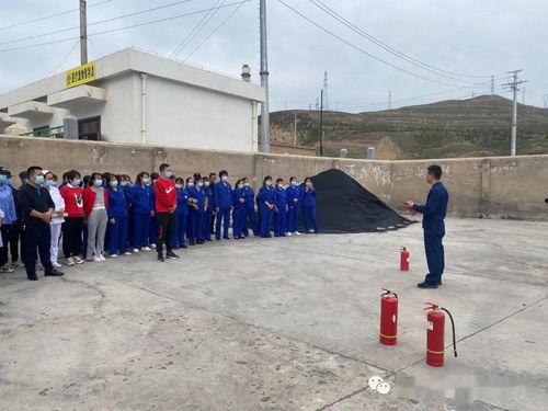 会宁县沙田镇新闻头条,乡村振兴战略下的沙田新篇章