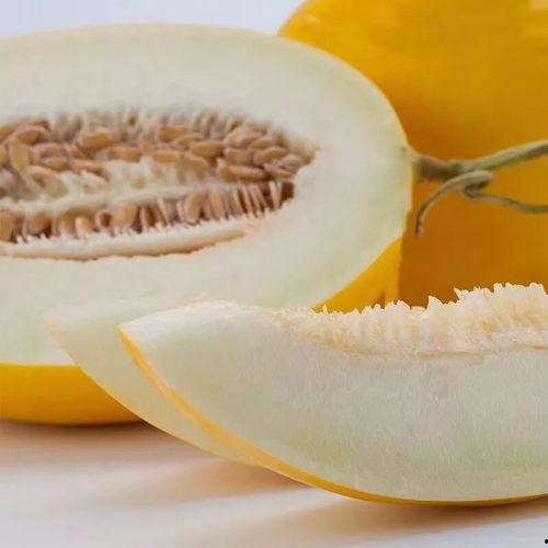 为什么吃蜜瓜拉稀,揭秘甜蜜背后的健康隐患