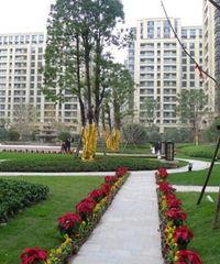 近期哪些明星在杭州,近期热门明星齐聚魅力之城