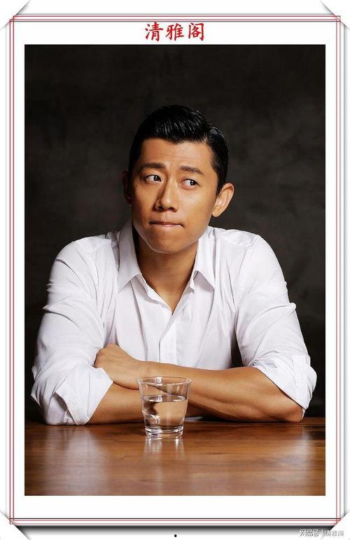 台湾明星夏雨,台湾影视界的璀璨星辰