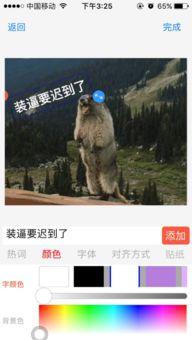 怎么制作头条动态表情包