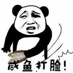 吃瓜群众专用脸,揭秘“吃瓜群众”表情背后的社会现象