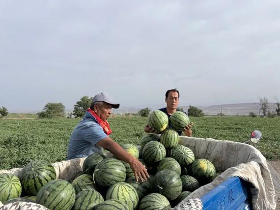 警察天天吃瓜,揭秘幕后故事与法律边界