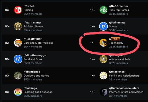 网红世界是什么软件,探索热门社交软件的魅力与影响
