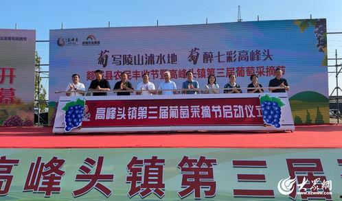 鹤城县三城乡新闻头条,乡村振兴战略下的新篇章