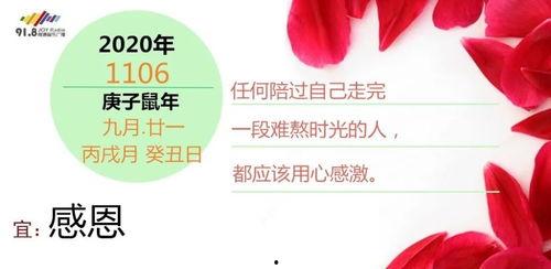 南通公路今日头条,畅行无阻，南通公路建设新篇章