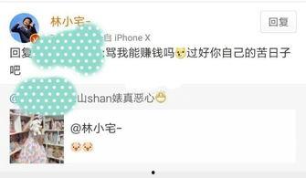 娱乐爆料林小宅免费阅读,独家揭秘幕后故事