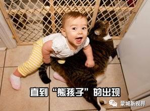 我家的熊孩子在线观看,欢乐时光与成长瞬间