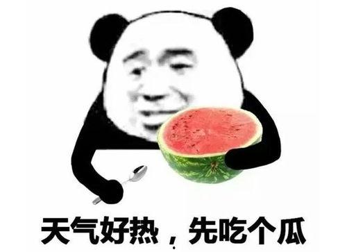 吃瓜表情怎么回,网络热词背后的文化现象
